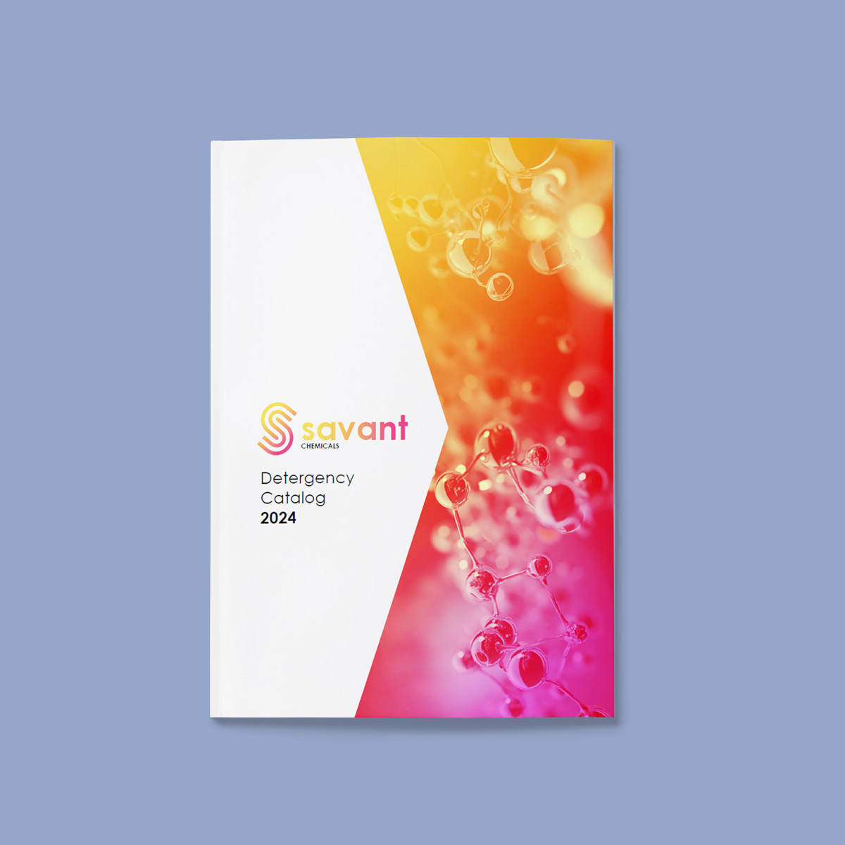 empiezapori-savant chemical - catalogo 2
